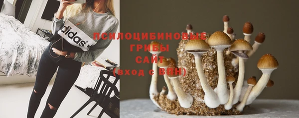 круглые Карталы